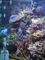 DSC01142 (Medium).JPG