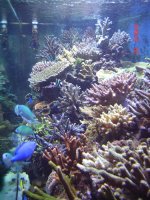 DSC01139 (Medium).JPG