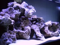 PHTO0109.JPG