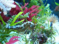 100_2357.jpg