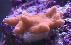frag2months.jpg