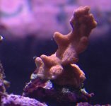 frag2months2.jpg