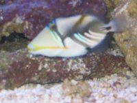 IMG_1067.JPG