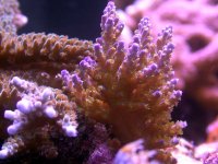 9-20-06 update 048.jpg
