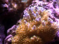 9-20-06 update 045.jpg