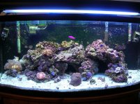 DSCN0793.JPG