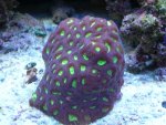 DSCN0798.JPG