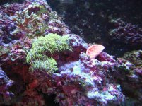 DSCN0790.JPG