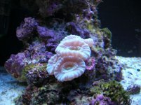 DSCN0800.JPG