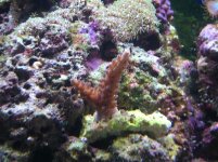 DSCN0809.JPG