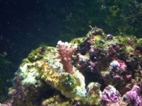 DSCN0808.JPG