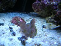 DSCN0810.JPG