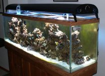 chris tank 2-12-07.jpg