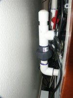 PICT0006 (Medium).JPG