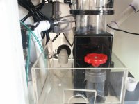 PICT0007 (Medium).JPG