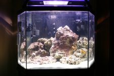 40g-06-07-2007.jpg