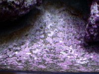 starboard update after 7 months 006.jpg