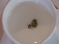 PICT0015 (Large).JPG