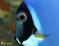 IMG_0040_c.jpg