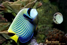 IMG_0042.jpg