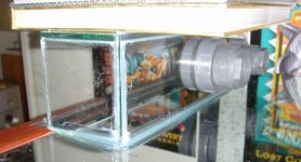 siliconed.jpg