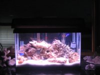 10 Gallon.JPG