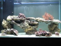 IMG_1253 (Medium).JPG