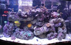 New Aquascape.jpg