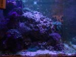 DSC01834.JPG
