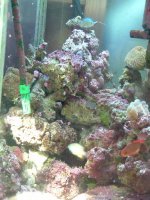 DSCF00091.JPG