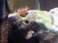 IMG_1617_edited.jpg