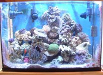 37Gaquarium.jpg