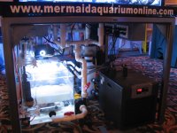 IMG_5520.jpg