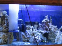 IMG_0679.jpg