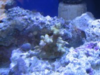 IMG_0640.jpg