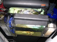 tank_pictures_008.jpg