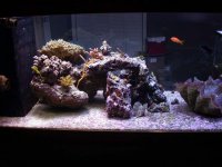 Reeflux 10K's 003.jpg