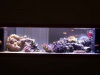 Reeflux 10K's 002.jpg