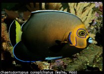 IMG_3041.jpg