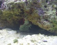 DSCN0844.JPG