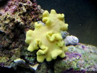 IMG_1200.JPG