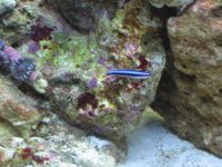 IMG_1209.JPG