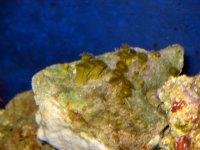IMG_1214.JPG