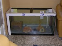 DSCN0861.JPG