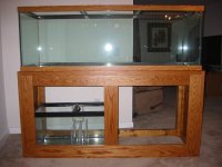 IMG_1493s.jpg