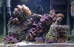 tank shot August 2007.jpg