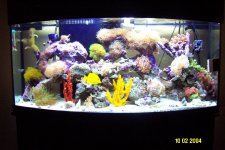 our tank med.jpg