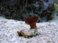 DSC02352.jpg