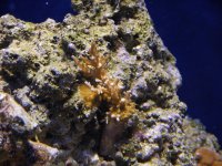 Dscn1468.jpg