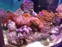 DSC05374web.jpg
